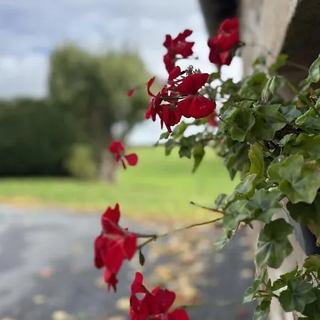 Rural Renove Avec Charme A Marcillat, Jardin Et Terrasse - Fr-1-489-369 * Marcillat-en-Combraille