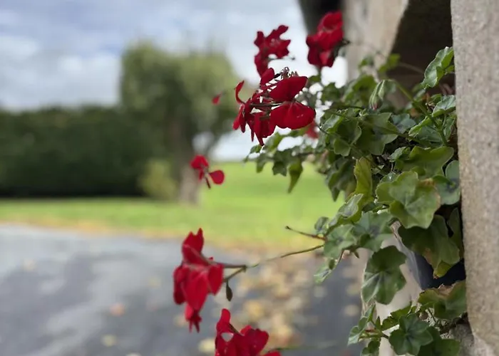 Rural Renove Avec Charme A Marcillat, Jardin Et Terrasse - Fr-1-489-369 * Marcillat-en-Combraille